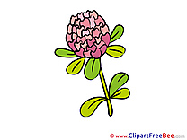 Clover printable Illustrations Flowers