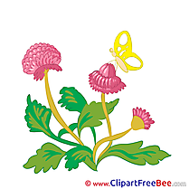 Clover printable Illustrations Flowers