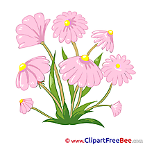 Field Flowers download Clipart Flowers Cliparts