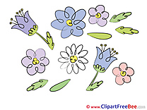 Flowering Flowers free Images download