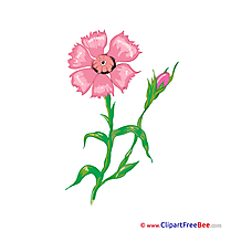 Flowering Pics Flowers Illustration