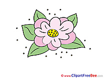 Lily download Clipart Flowers Cliparts