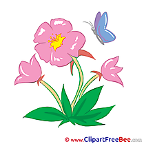 Marshmallow free Cliparts Flowers