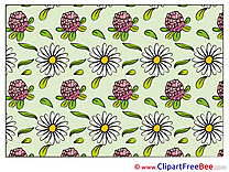 Pics Wallpaper Flowers Illustration