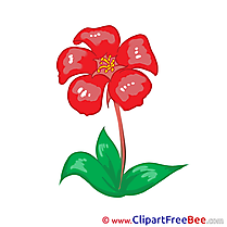 Red Flowers printable Images