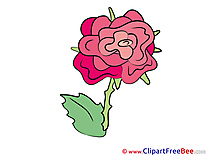 Rose printable Illustrations Flowers