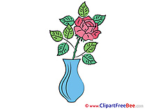 Rose Vase Pics Flowers free Image