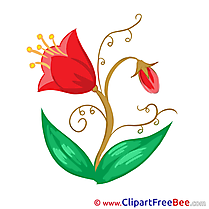 Tulip Clipart Flowers free Images