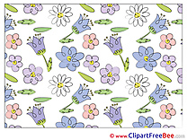 Wallpaper Pics Flowers Illustration