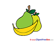 Fruits free Illustration download