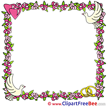 Blossom Pics Frames free Image