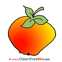 Apple free Illustration download