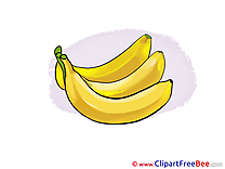 Bananas Pics free Illustration