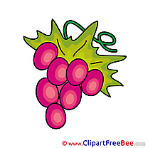 Berry Grape Images download free Cliparts