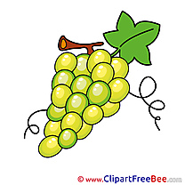 Bunch Grapes free printable Cliparts and Images