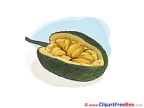 Exotic Fruit Clip Art download for free