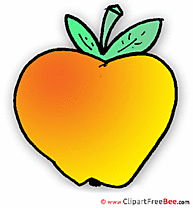 Fresh Apple Clipart free Image download