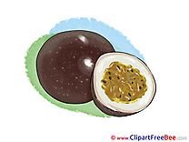 Fruit download Clip Art for free