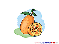 Fruit Leaves printable Illustrations for free