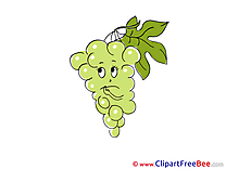 Grape Clip Art download for free