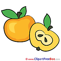 Half Apple Pics free Illustration