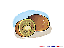 Kiwi Pics download Illustration