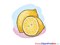 Lemon download printable Illustrations