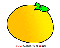 Orange Clip Art download for free