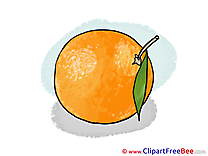 Orange Pics free download Image