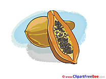 Papaya free printable Cliparts and Images