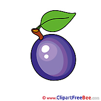 Plum Cliparts printable for free