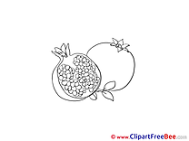 Pomegranate Pics printable Cliparts