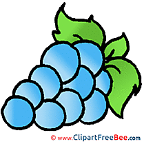 Ripe Grapes Cliparts printable for free