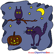 Branch Moon Cat Night Clipart Halloween Illustrations