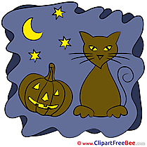 Night Cat Pumpkin Halloween Illustrations for free