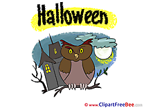 Owl Clipart Halloween Illustrations
