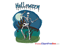 Skeleton Night Pics Halloween Illustration