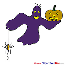 Spook Spider Pumpkin Halloween free Images download