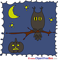Stars Moon Night Owl Halloween Clip Art for free