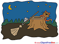 Stump Mouse Cat Night Halloween free Images download