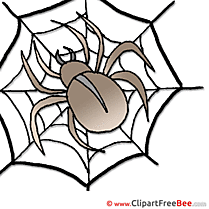 Web Spider Pics Halloween free Cliparts