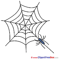 Web Spider Pics Halloween free Image