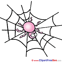 Web Spider Pics Halloween free Image
