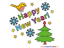 Bird Tree New Year free Images download