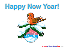 Bullfinch Ball Pics New Year Illustration