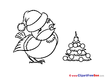 Bullfinch Pics New Year Illustration