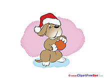 Dog Ball New Year Clip Art for free