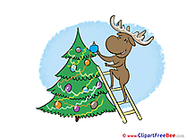 Ladder Deer New Year free Images download