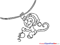 Little Monkey New Year free Images download