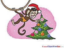 Monkey Tree Pics New Year free Cliparts